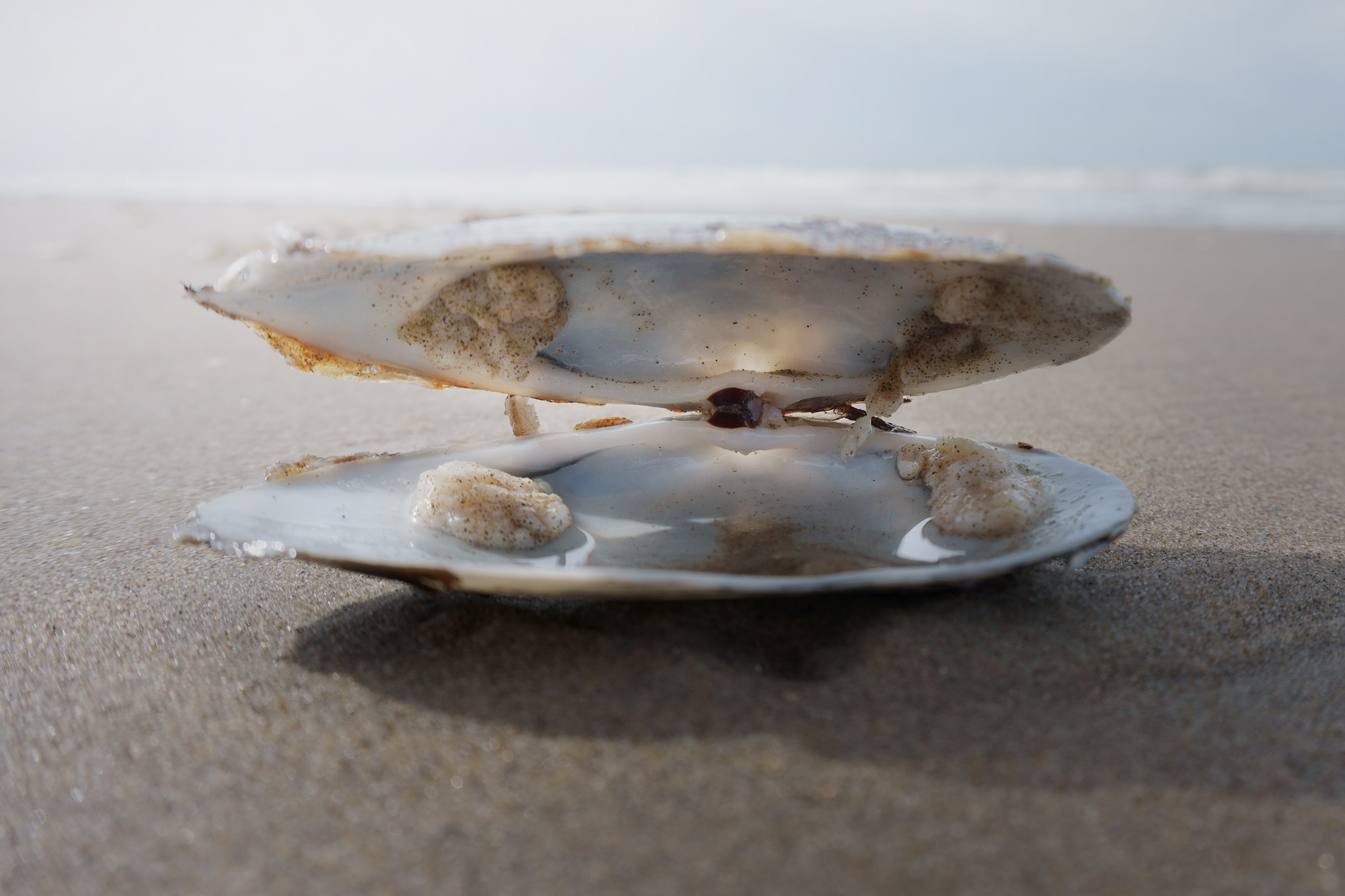 foto: Aan duin en strand